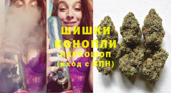 гашик Алексин