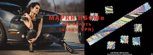 гашик Алексин