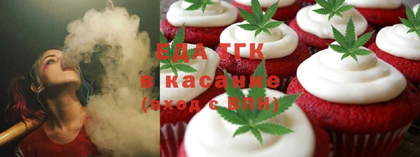 гашик Алексин
