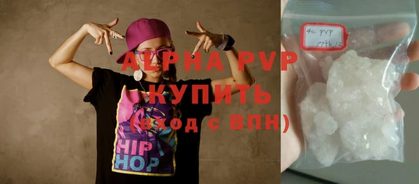 гашик Алексин