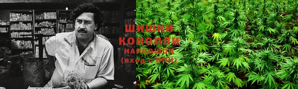 каннабис Алексеевка