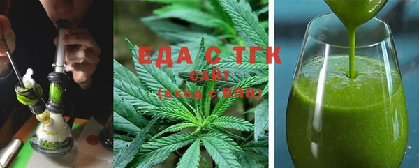 гашик Алексин