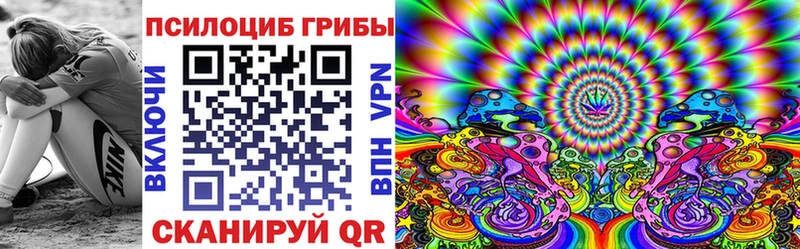 мориарти как зайти  купить наркотики сайты  Лиски  Галлюциногенные грибы Psilocybine cubensis 